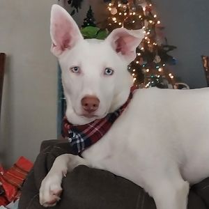 Meet your Posher, Gina